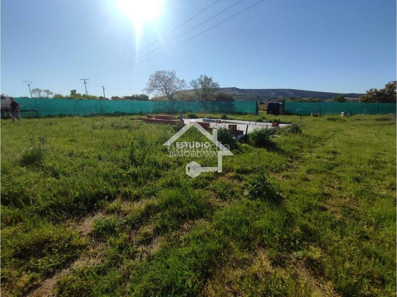 Foto 9bef0c04-d1d7-4249-8938-f23c01817ae8. Finca rústica a Navarrete