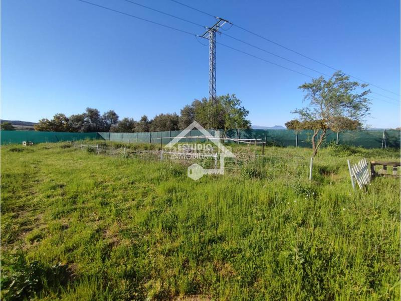 Foto b33131c8-ec32-4210-8f07-78c691ebfad3. Finca rústica a Navarrete