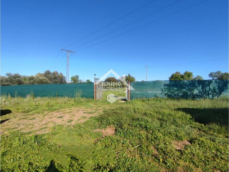 Foto be53279a-9ced-4ef9-9ac5-a624ff978bdd. Finca rústica a Navarrete