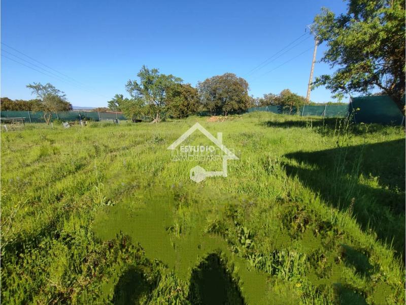 Foto d13605b5-3dca-4d5a-b160-a3d945310a7e. Finca rústica a Navarrete