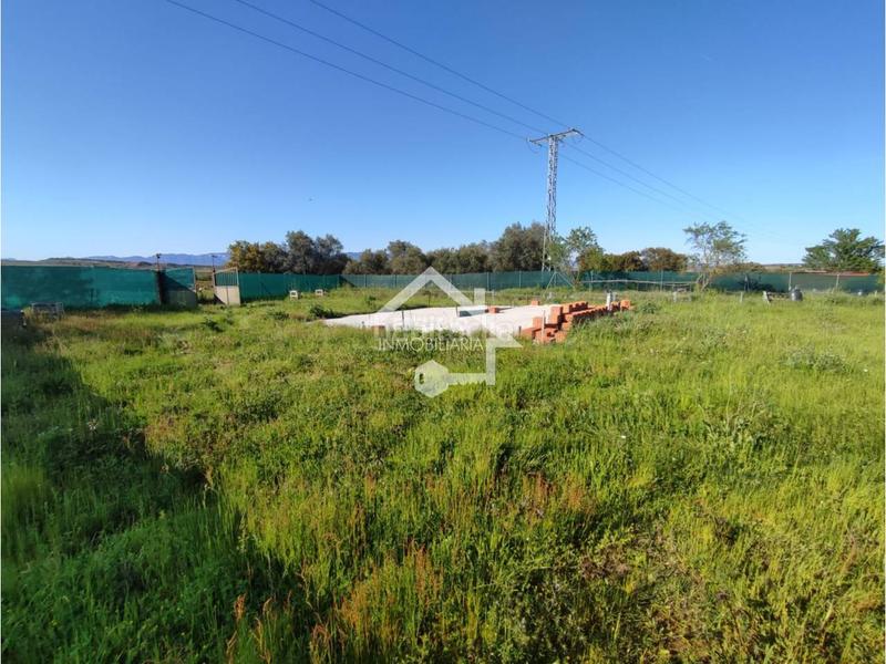 Foto d3f7c23b-b694-43e5-a54d-d36a4604ad35. Finca rústica a Navarrete