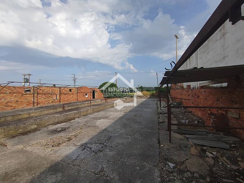 Foto a6d0a2d1-ab38-44ba-94c9-87044a071f18. Fondo rustico in Viana