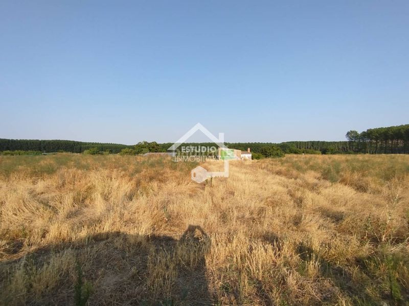 Foto 0b2b4f83-f4dd-490b-a5f5-6ea5fc9f1e2d. Finca rústica venta de 2 fincas en Viana