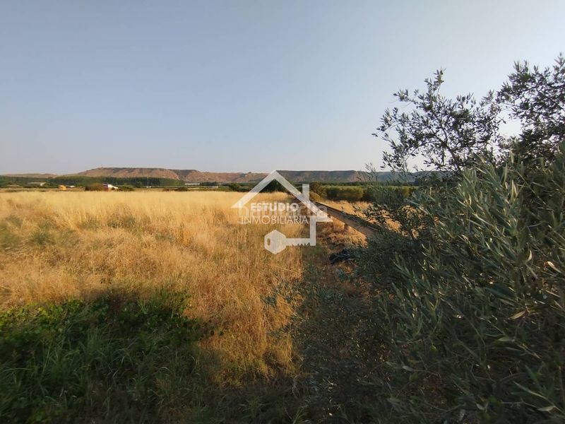 Foto 106c559d-cc12-4b64-8f22-d54b12eceeb7. Finca rústica venta de 2 fincas en Viana