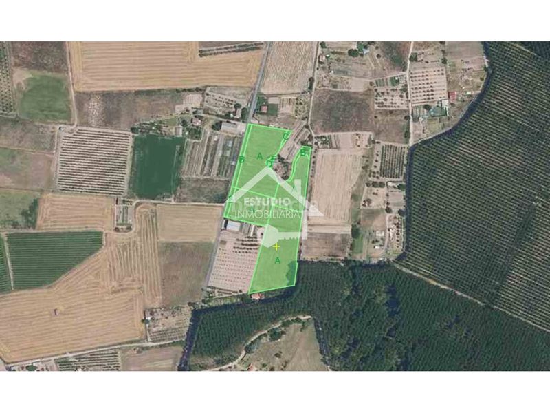 Foto 2c10e3a6-5600-4f9b-928a-6cc8956e4d6b. Finca rústica venta de 2 fincas en Viana