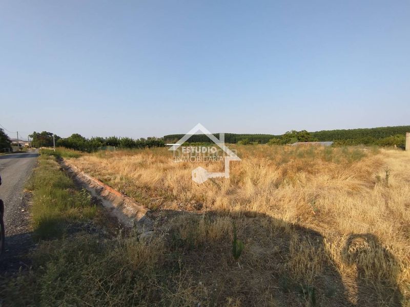 Foto 472e2209-597a-483d-9a6b-9d0e184de033. Finca rústica venta de 2 fincas en Viana