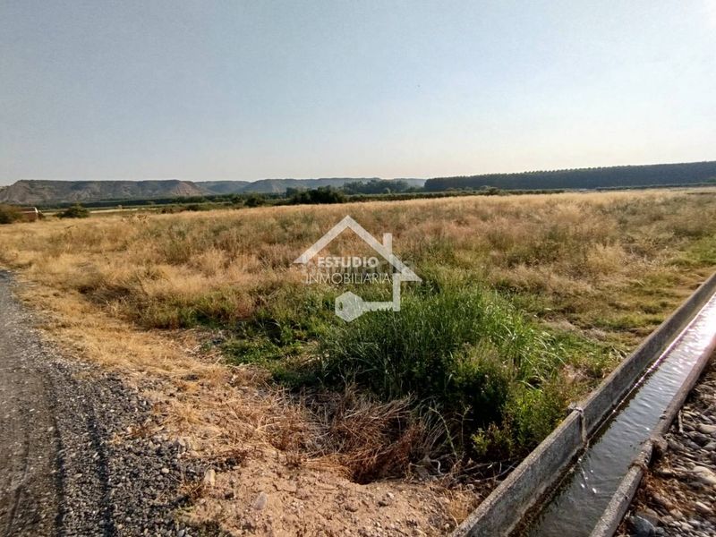 Foto 4ec758a8-d5a5-48a8-aafb-7bd819ceb5d3. Finca rústica venta de 2 fincas en Viana