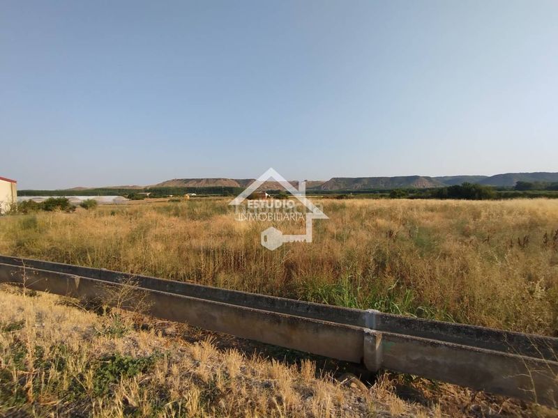Foto 633254eb-1b3e-4704-a30d-ed150d18d822. Finca rústica venta de 2 fincas en Viana