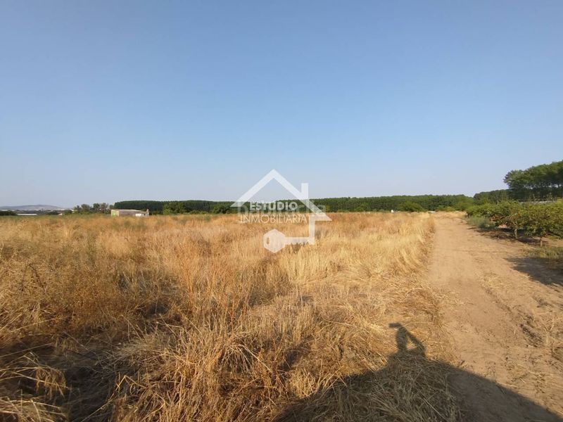 Foto 66b75e5a-18c4-4b27-8509-ae245ff3d10b. Finca rústica venta de 2 fincas en Viana