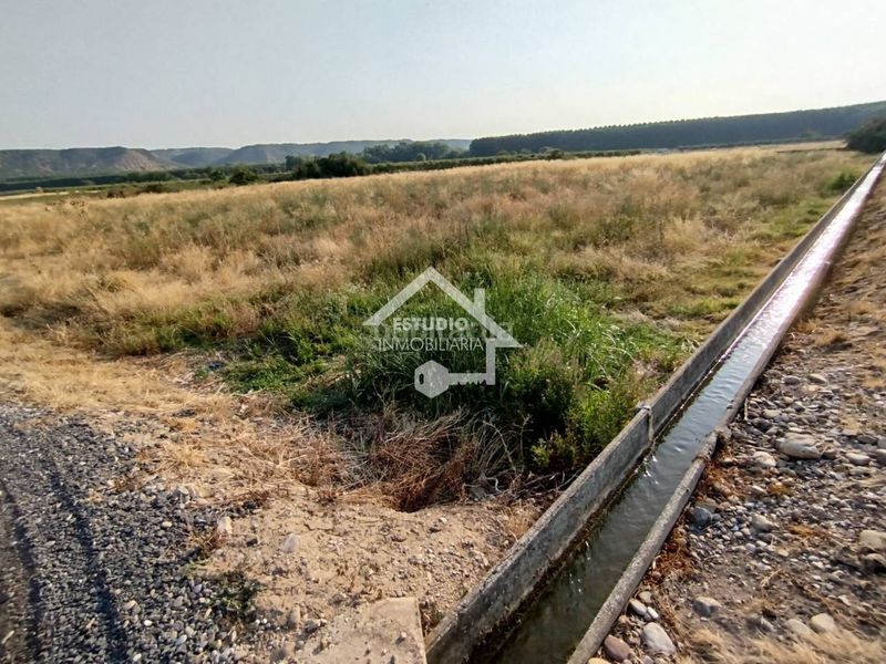 Foto 7fb864a0-b31c-4c9a-aef8-18b4e92cfda4. Finca rústica venta de 2 fincas en Viana