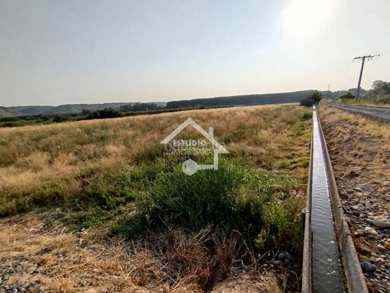 Foto 8af19890-3311-4ee7-b14d-7d72ee13d75d. Finca rústica venta de 2 fincas en Viana