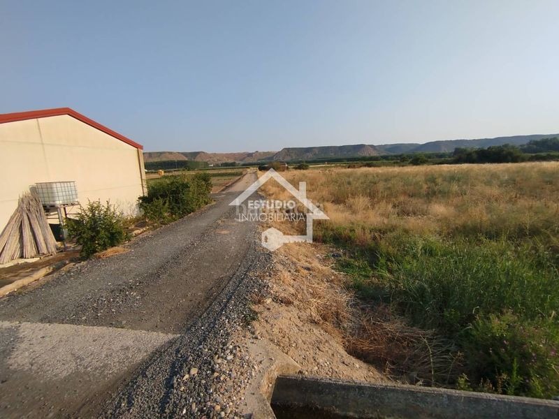 Foto 94367c72-31e3-4103-ae5e-f1e4e6a7776b. Finca rústica venta de 2 fincas en Viana