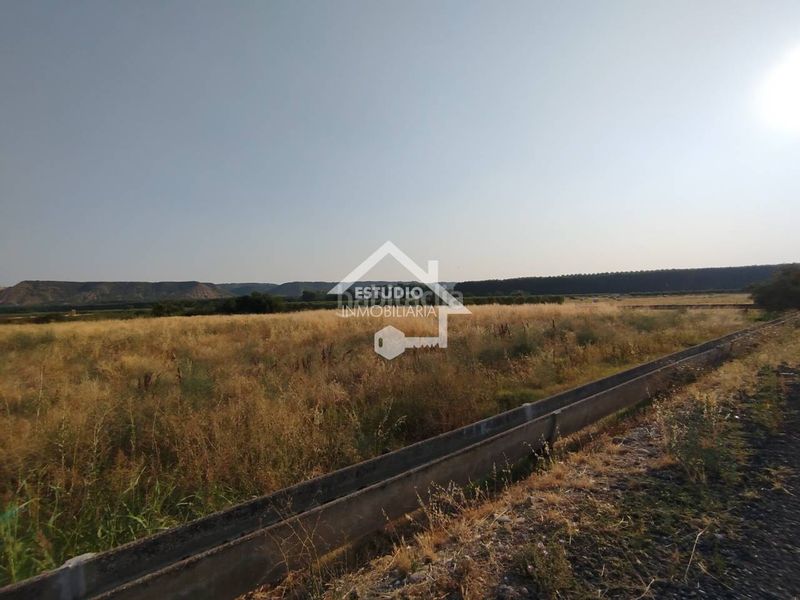 Foto a101f030-11e1-4102-963d-2fa8fb292fa6. Finca rústica venta de 2 fincas en Viana