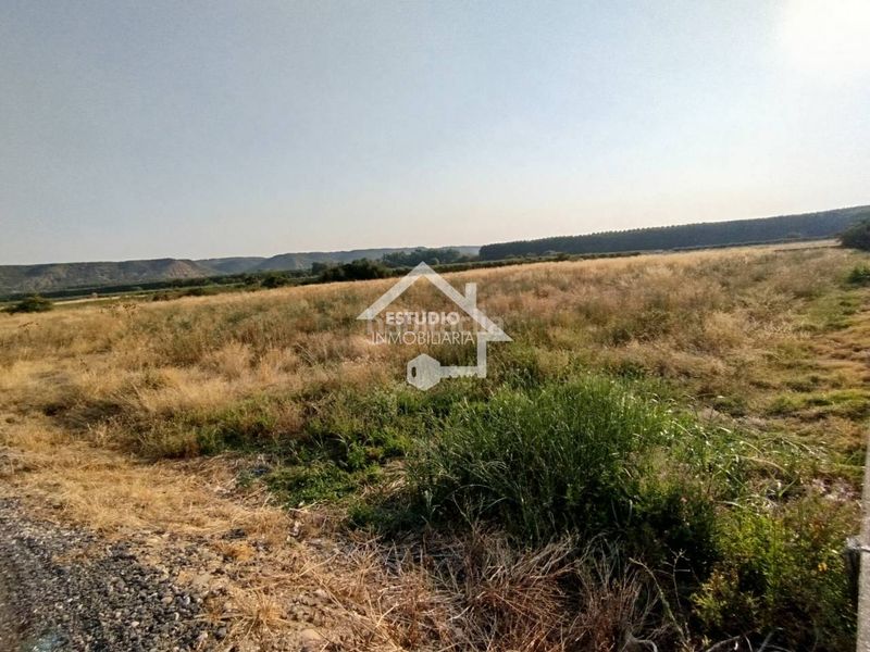 Foto d905b5bf-70a5-4854-8675-578cc49ad226. Finca rústica venta de 2 fincas en Viana