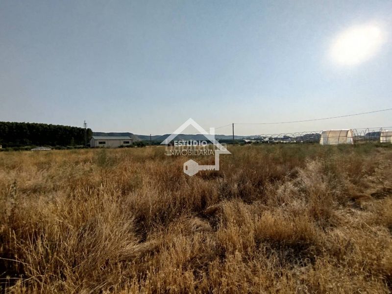 Foto eb97f4b1-b331-4815-a059-8f2c051ef5f3. Finca rústica venta de 2 fincas en Viana