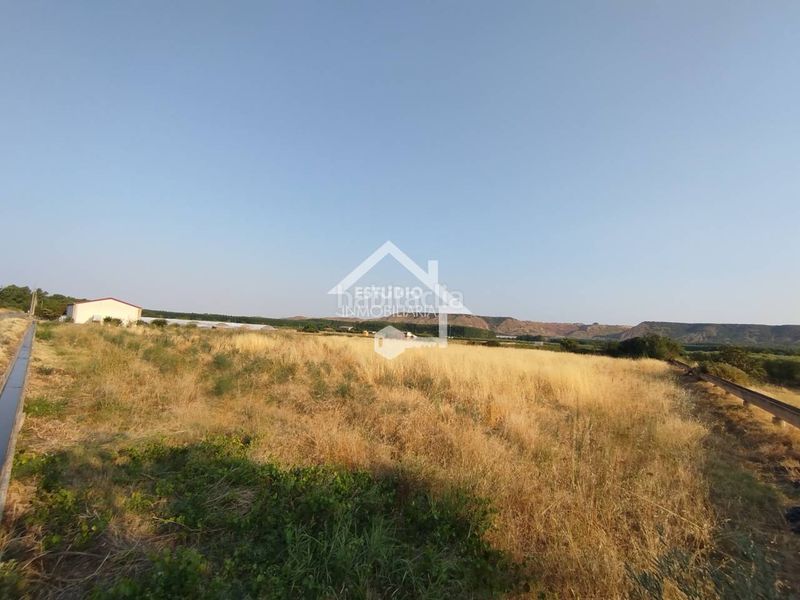 Foto fb161c8d-721e-4392-b34f-549d18d791dd. Finca rústica venta de 2 fincas en Viana