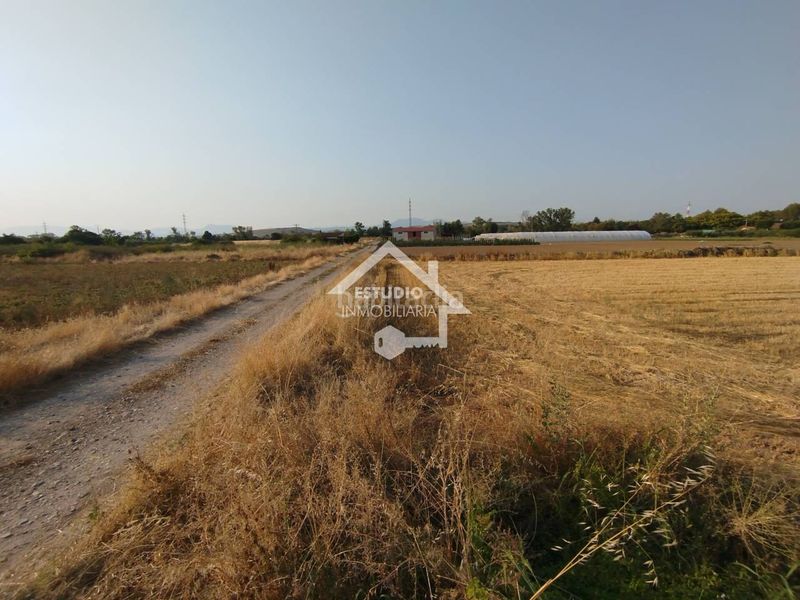 Foto 0def445d-90f6-490d-bab8-84271154a529. Finca rústica a Viana