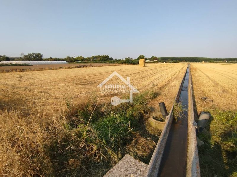 Foto 3a235f50-bd00-461b-a9a5-9abb52b03076. Finca rústica a Viana