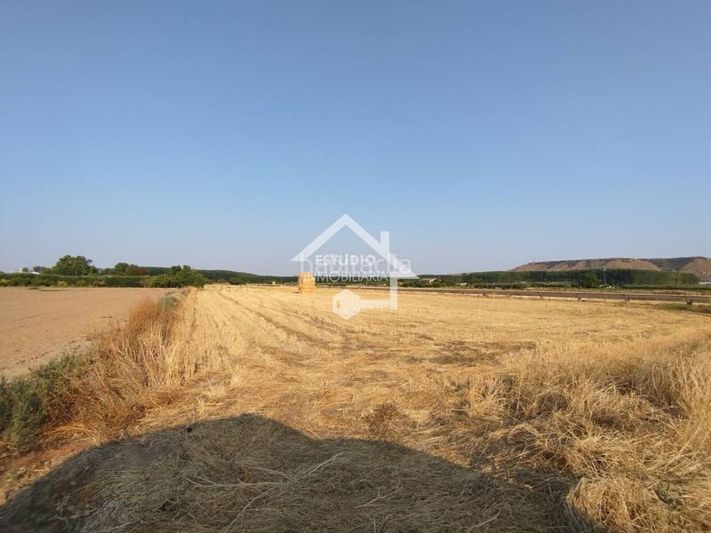 Foto b6954d25-01a9-4673-9f56-164021a104f3. Finca rústica a Viana