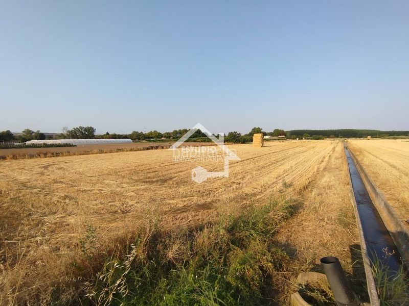 Foto d8ff7f5f-6697-4629-b3ca-1f98bb362b41. Finca rústica a Viana