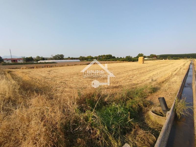 Foto f9841676-6d03-4784-914e-d285cd718a92. Finca rústica a Viana