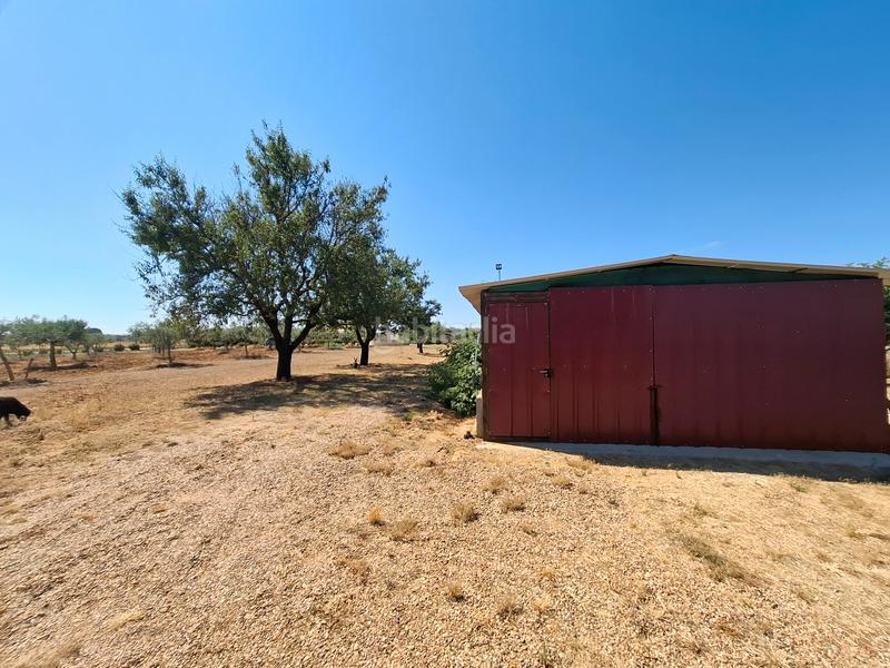 Foto 2c893d52-fcdf-4aff-b1bd-4c6813e38a97. Chalet  independiente con piscina en Entrala