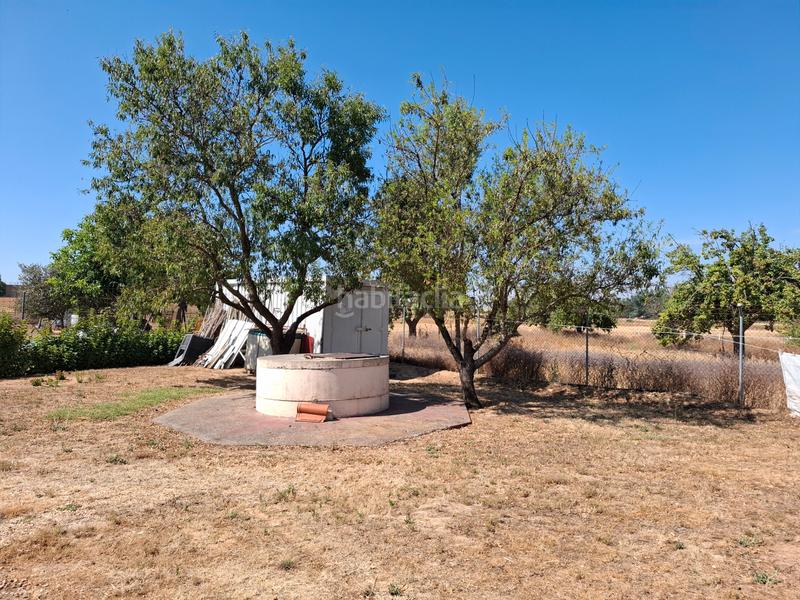 Foto 9d927418-5082-41df-aab7-de743a680cb5. Chalet  independiente con piscina en Entrala