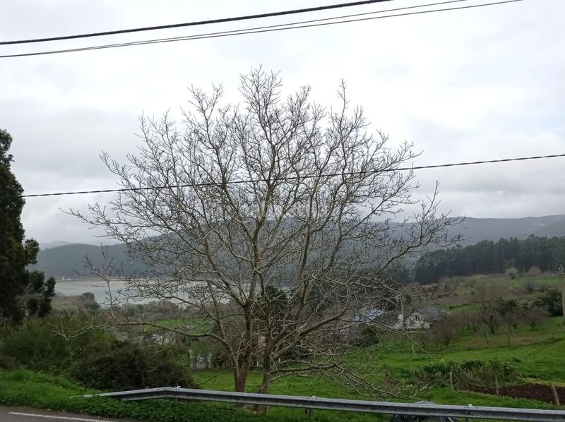 Foto 8d0bc887-c21d-401f-9b0f-5b7dd86dddbf. Casa  en o barqueiro en Mañón