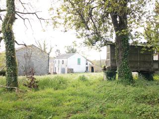 Masia a Vilalba. Oportunidad única casa rural para reformar con finca en plena na