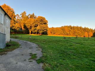 Casa a Vilalba. Casa gallega con gran finca, luz y encanto a 15 min de villalba