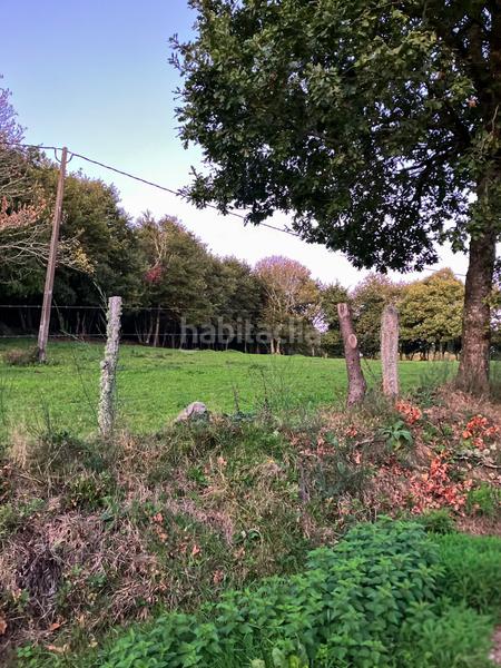 Foto 1c3d112f-dacc-4f29-854a-c141a82fbc7c. Fondo rustico in Vilalba