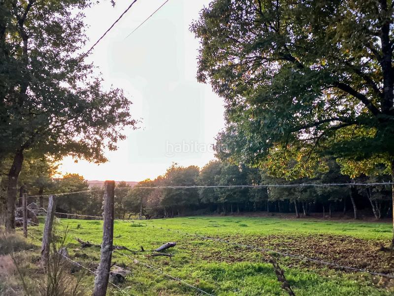 Foto ebd16eb0-fac0-4b6b-bc26-37dcfe1b94e0. Fondo rustico in Vilalba