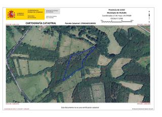 Rural plot in Vilalba. Oportunidad en vilalba  finca rústica con aprovechamiento forest