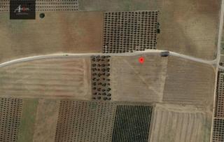 Finca rústica a Cañada Rosal. Se vende parcela rustica de 13.800 m2, a pie de carretera.