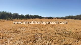 Finca rústica a Écija. Finca rústica de 6.510 m2 con pozo legalizado y acceso directo d