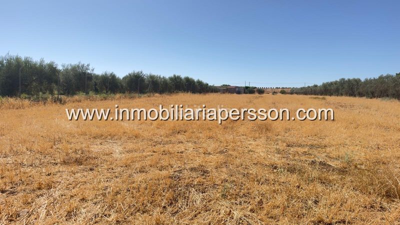 Foto b9fdd138-cd22-436d-baf9-8a4edd3b7f58. Finca rústica a Écija