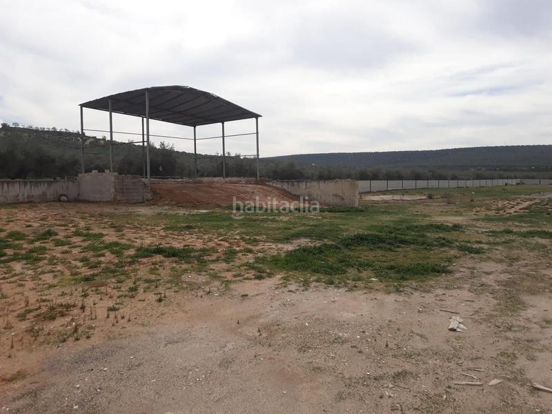 Foto 08fbc5d8-5b04-4521-b8d5-1b32a7625879. Fabrikhalle in Benamejí