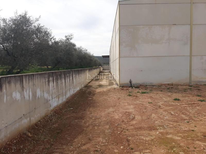 Foto 21be5950-85f5-4611-8999-94ca794d5e27. Fabrikhalle in Benamejí