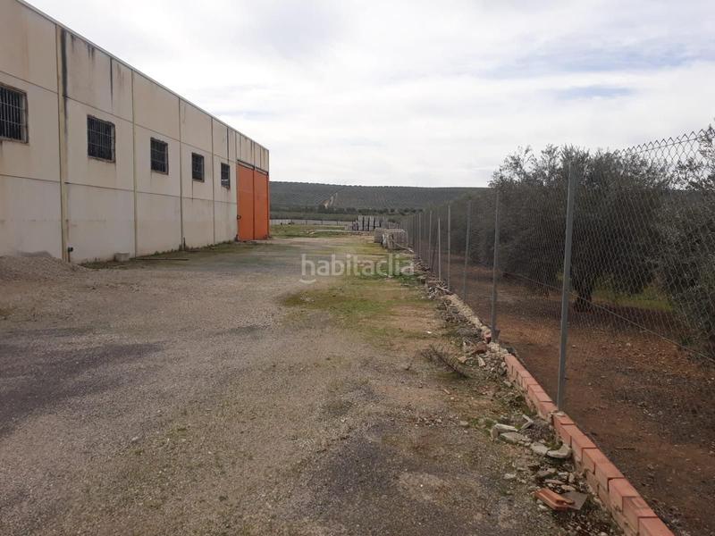 Foto 2805d216-0039-4ec3-b0c1-9df77002df95. Fabrikhalle in Benamejí