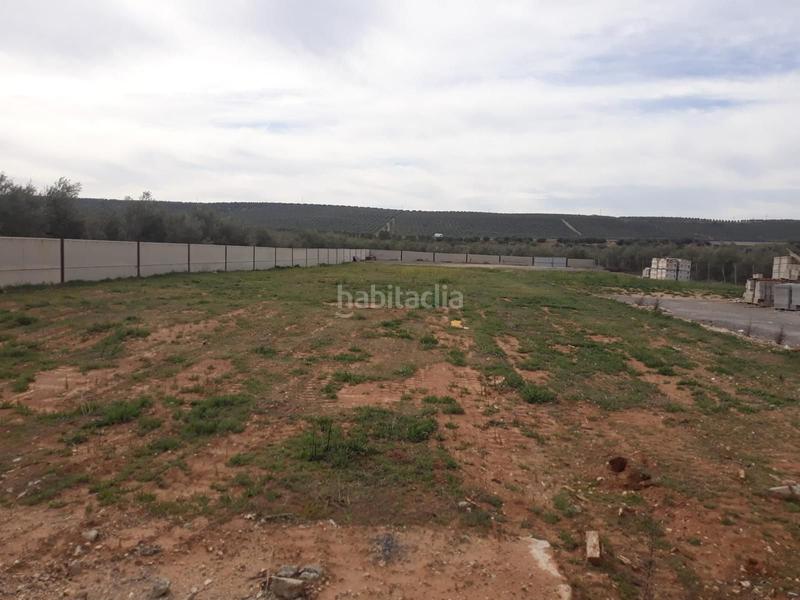 Foto 3e1e6258-2f64-4fd4-a769-d564fe721508. Fabrikhalle in Benamejí