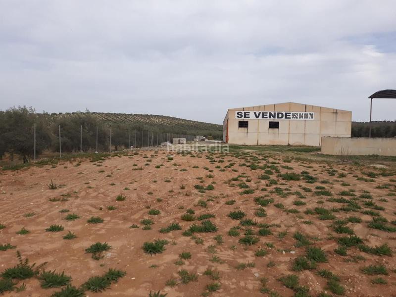 Foto 83f634aa-aad9-42a5-ae63-d06b91ccc1d1. Fabrikhalle in Benamejí