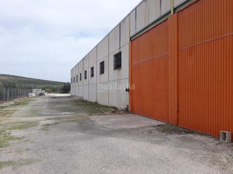 Foto 97a46913-90c4-4e11-8b07-ced3d70b3de7. Fabrikhalle in Benamejí