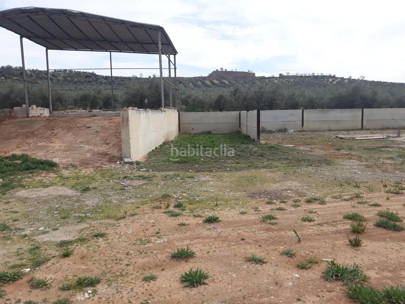 Foto b25915db-91b6-464d-b367-d91b1e3077b6. Fabrikhalle in Benamejí