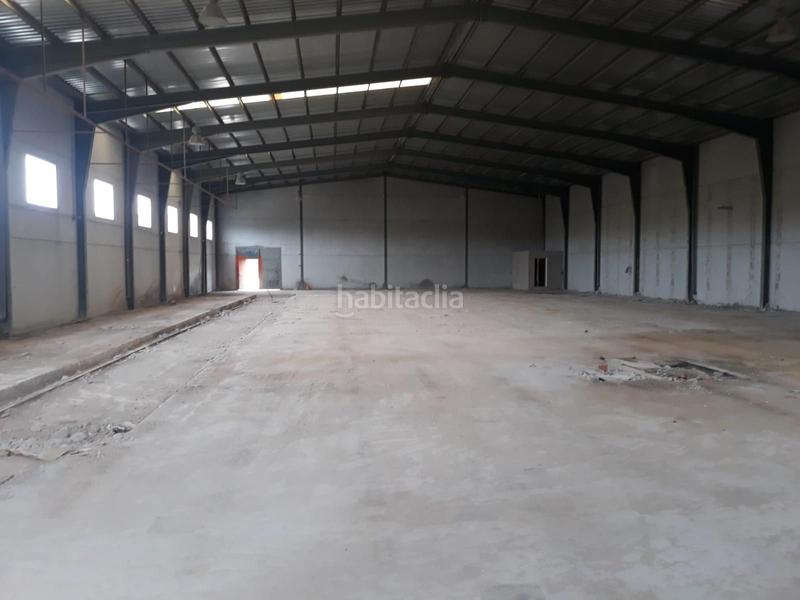 Foto b6846155-923f-43aa-b4f9-08e3a71bb046. Fabrikhalle in Benamejí