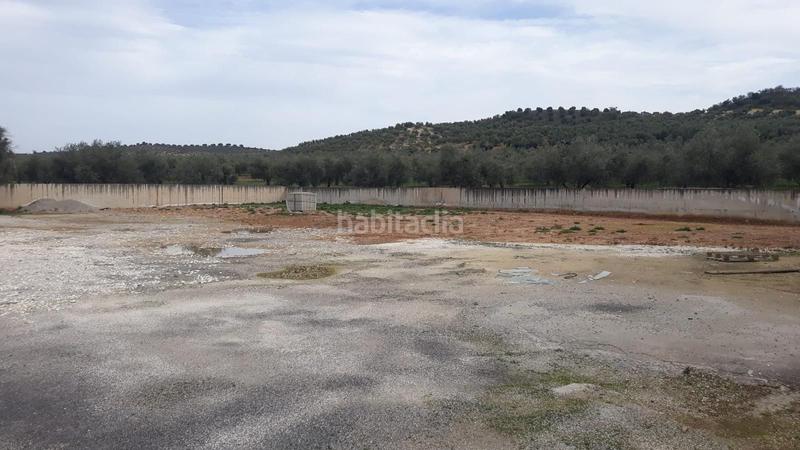 Foto c53cc959-b165-4420-b5e9-4aa945e9c7a6. Fabrikhalle in Benamejí