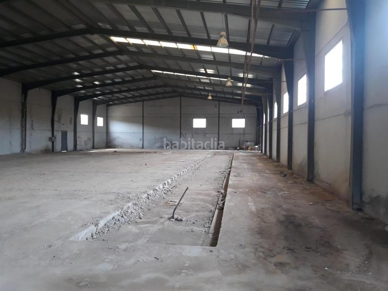 Foto c87e0670-2bea-4225-9b43-a65fcf066947. Fabrikhalle in Benamejí