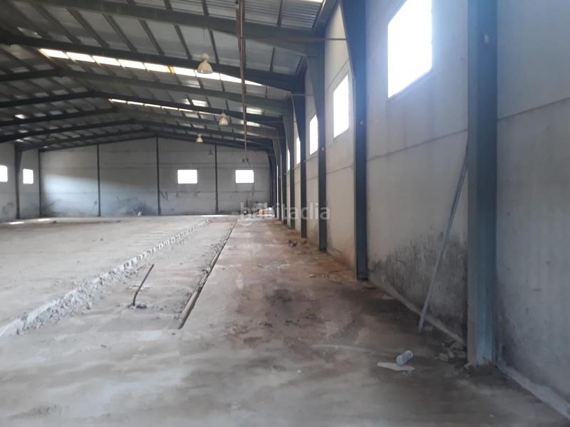 Foto d5ecd809-2506-44a6-8196-1a7425f5c999. Fabrikhalle in Benamejí