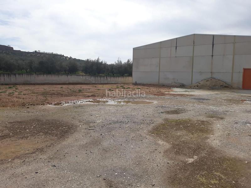 Foto fa22ad6c-c242-4240-846e-ea3588c0fe69. Fabrikhalle in Benamejí