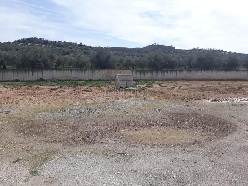 Foto fb390a5c-a0ad-4e43-ab8a-1b1fc650004d. Fabrikhalle in Benamejí