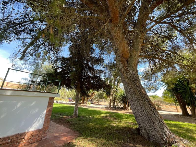 Foto 0043e821-635b-4012-9496-39e9aca3ac86. Masía complejo con 4 viviendas independientes y piscina en Antequera